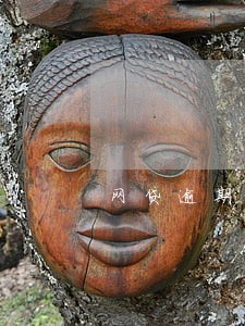 网贷逾期没还清能办信用卡吗