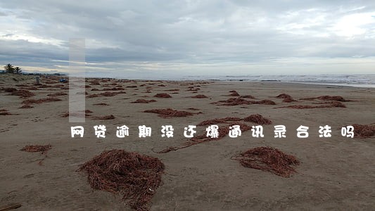 网贷逾期没还爆通讯录合法吗 网贷逾期没还爆通讯录合法吗