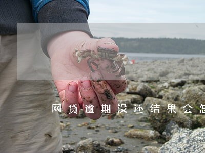 网贷逾期没还结果会怎样 网贷逾期没还结果会怎样