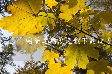 网贷逾期没还能下的口子 网贷逾期没还能下的口子