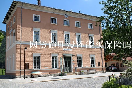 网贷逾期没还能买保险吗 网贷逾期没还能买保险吗