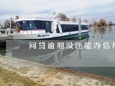 网贷逾期没还能办信用卡吗 网贷逾期没还能办信用卡吗