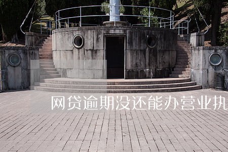 网贷逾期没还能办营业执照吗 网贷逾期没还能办营业执照吗
