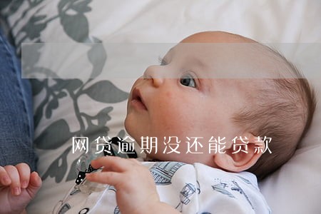 网贷逾期没还能贷款