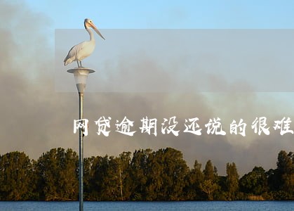 网贷逾期没还说的很难听 网贷逾期没还说的很难听