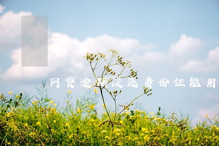 网贷逾期没还身份证能用吗 网贷逾期没还身份证能用吗