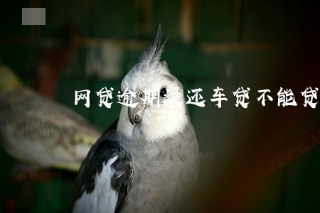 网贷逾期没还车贷不能贷吗 网贷逾期没还车贷不能贷吗