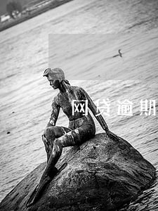 网贷逾期没还还有什么可以借钱的 网贷逾期没还还有什么可以借钱的
