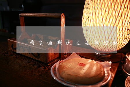 网贷逾期没还还能借到网贷吗 网贷逾期没还还能借到网贷吗