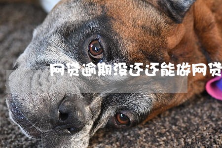 网贷逾期没还还能做网贷吗 网贷逾期没还还能做网贷吗