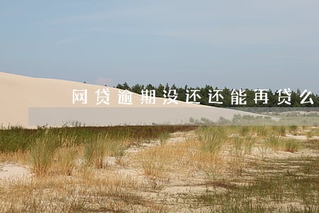 网贷逾期没还还能再贷么 网贷逾期没还还能再贷么