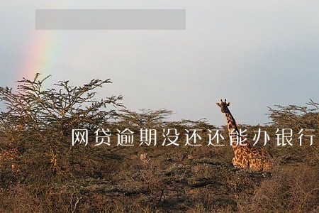 网贷逾期没还还能办银行卡吗 网贷逾期没还还能办银行卡吗