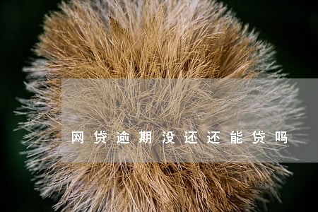 网贷逾期没还还能贷吗 网贷逾期没还还能贷吗