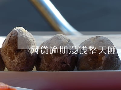 网贷逾期没钱整天睡大觉 网贷逾期没钱整天睡大觉