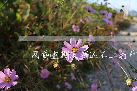 网贷逾期没钱还不上打什么电话 网贷逾期没钱还不上打什么电话