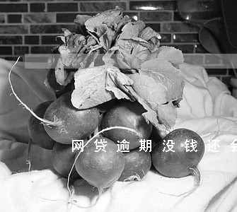 网贷逾期没钱还会坐牢么 网贷逾期没钱还会坐牢么