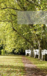 网贷逾期没钱还又怕上门怎么办 网贷逾期没钱还又怕上门怎么办