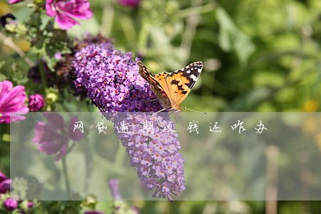 网贷逾期没钱还咋办 网贷逾期没钱还咋办
