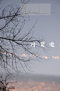 网贷逾期没钱还影响孩子上学吗 网贷逾期没钱还影响孩子上学吗