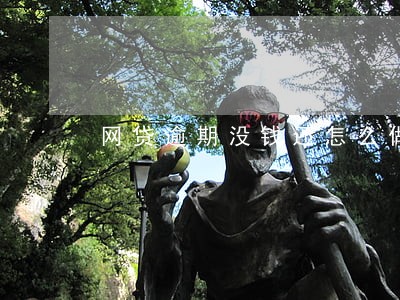 网贷逾期没钱还怎么做诉前调解 网贷逾期没钱还怎么做诉前调解