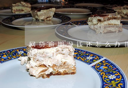 网贷逾期没钱还怎么办非常害怕 网贷逾期没钱还怎么办非常害怕