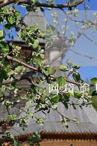 网贷逾期没钱还正常流程 网贷逾期没钱还正常流程
