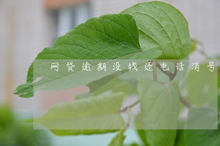 网贷逾期没钱还电话消号 网贷逾期没钱还电话消号