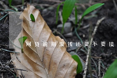网贷逾期没钱还要不要接电话 网贷逾期没钱还要不要接电话