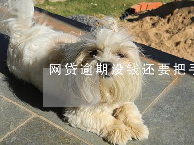 网贷逾期没钱还要把手机卖了 网贷逾期没钱还要把手机卖了