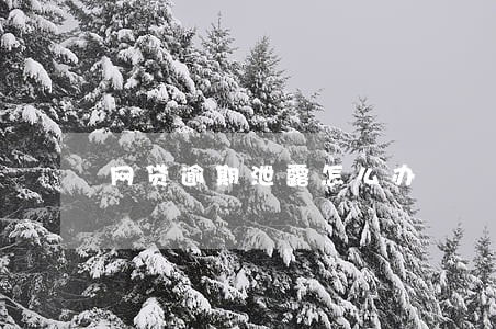 网贷逾期泄露怎么办 网贷逾期泄露怎么办