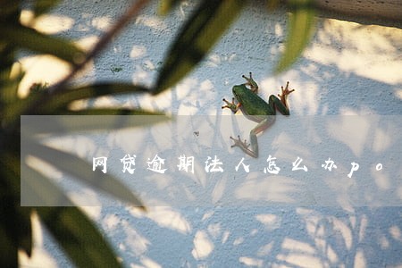 网贷逾期法人怎么办pos机 网贷逾期法人怎么办pos机