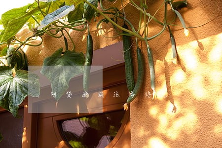 网贷逾期法务信息 网贷逾期法务信息