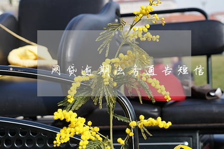 网贷逾期法务通告短信 网贷逾期法务通告短信