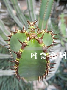 网贷逾期法务部发邮件真的假的 网贷逾期法务部发邮件真的假的