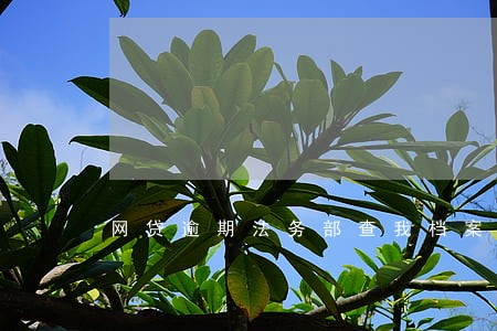 网贷逾期法务部查我档案