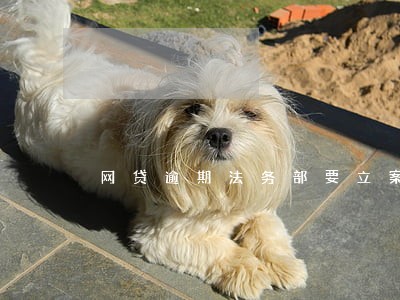 网贷逾期法务部要立案是真的吗 网贷逾期法务部要立案是真的吗