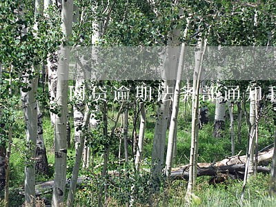 网贷逾期法务部通知我开庭 网贷逾期法务部通知我开庭
