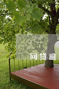 网贷逾期法律咨询有用吗 网贷逾期法律咨询有用吗