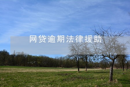 网贷逾期法律援助