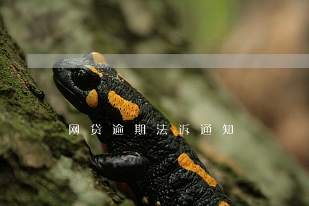 网贷逾期法诉通知 网贷逾期法诉通知
