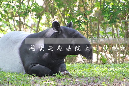 网贷逾期法院上门强制执行 网贷逾期法院上门强制执行