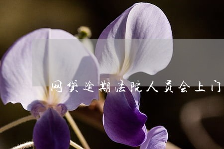 网贷逾期法院人员会上门清缴吗 网贷逾期法院人员会上门清缴吗