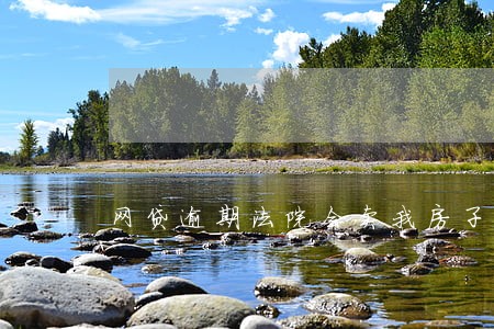 网贷逾期法院会卖我房子么 网贷逾期法院会卖我房子么