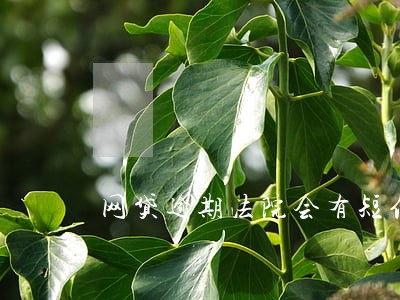 网贷逾期法院会有短信通知吗 网贷逾期法院会有短信通知吗