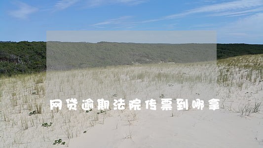 网贷逾期法院传票到哪拿 网贷逾期法院传票到哪拿