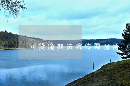 网贷逾期法院传票图片 网贷逾期法院传票图片