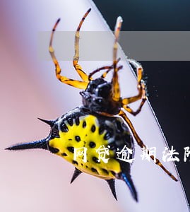 网贷逾期法院传票坐牢吗 网贷逾期法院传票坐牢吗