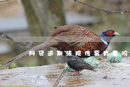 网贷逾期法院传票有事吗 网贷逾期法院传票有事吗