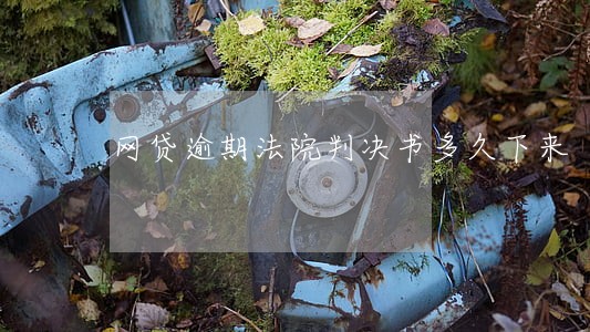 网贷逾期法院判决书多久下来 网贷逾期法院判决书多久下来
