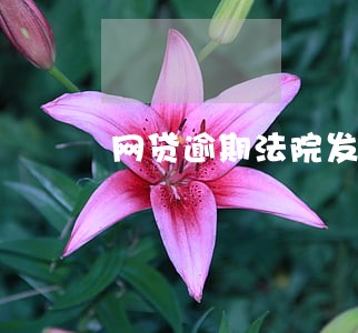 网贷逾期法院发短信吗 网贷逾期法院发短信吗